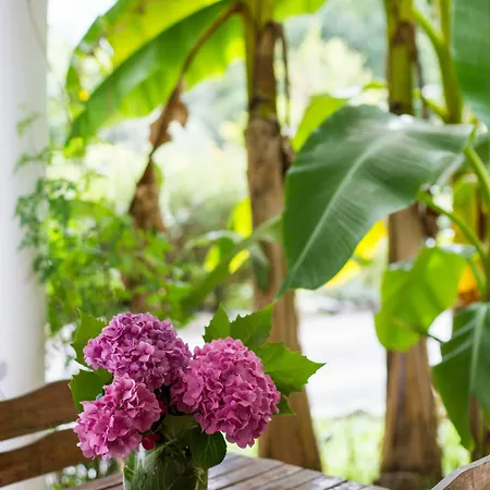 Les Collines Iduki 4*