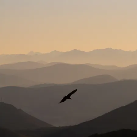 מלון דירות Les Collines Iduki La Bastide-Clairence