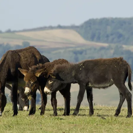 Hotel apartamentowy Les Collines Iduki La Bastide-Clairence