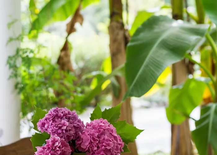 Les Collines Iduki 4*